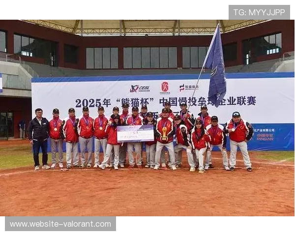 钻石心跳棒垒球队获华西分区赛季军